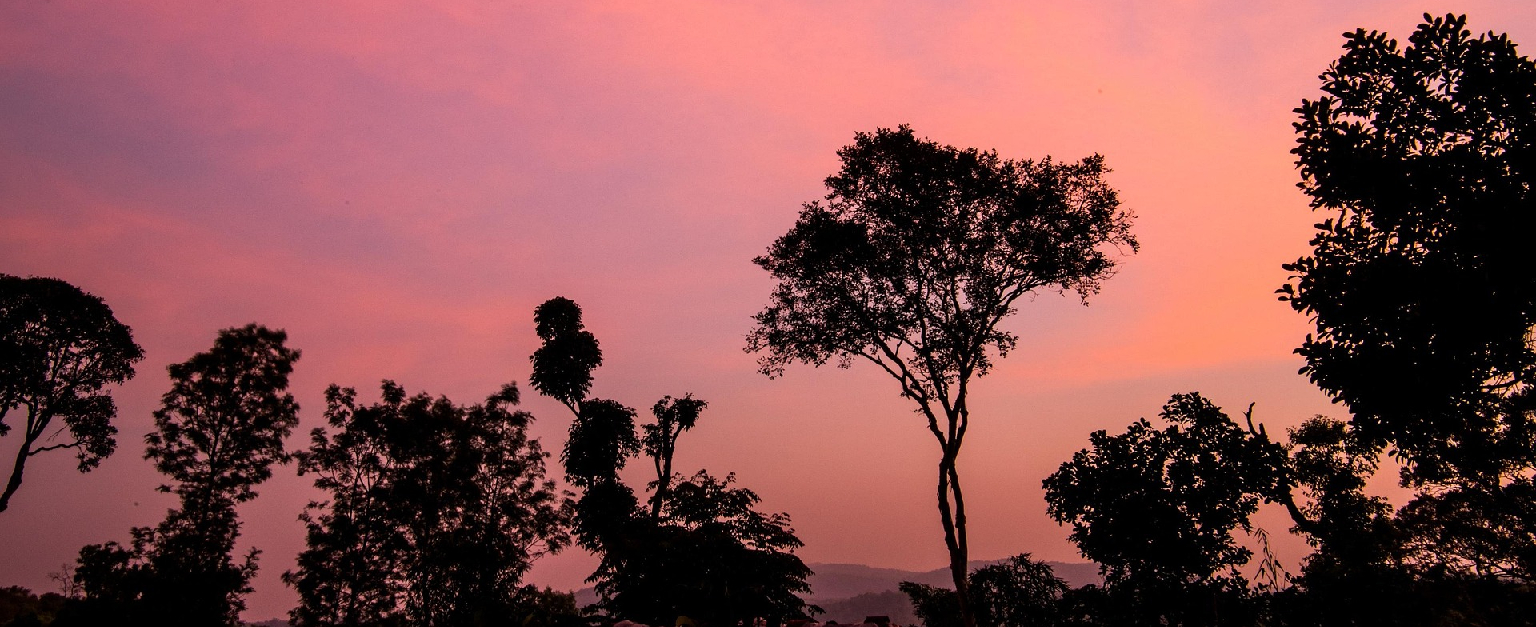 North Kerala Tour