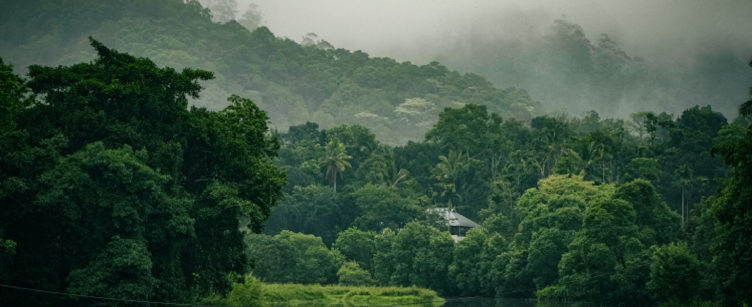 Kerala with Rameswaram and Madurai Tour