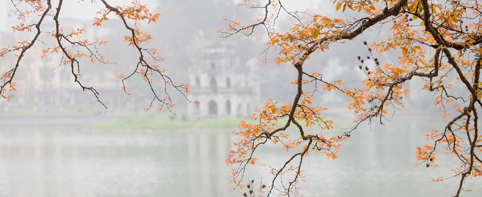 Vietnam Tour